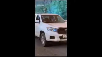 شتر سرگردان در خط مقدم جنگ اوکراین