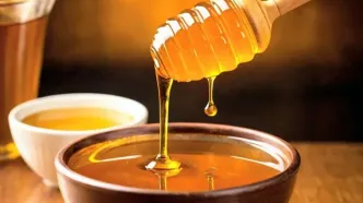 برزیلی‌ها عسل شکلاتی بدون شکر ساختند!