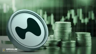 سقوط سنگین و بازگشت HYPE؛ فرصت طلایی برای معامله‌گران کریپتو