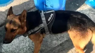 پایان غم‌انگیز شجاعت‌های تیدا