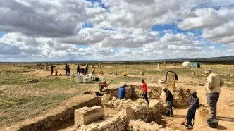 کشف کارخانه باستانی روغن زیتون در تونس