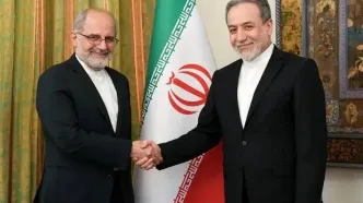 سفیر جدید ایران در ایرلند با عراقچی دیدار کرد