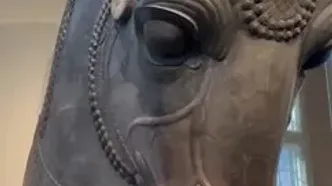 سردیس بزرگ «سر گاو» تخت جمشید در شیکاگو