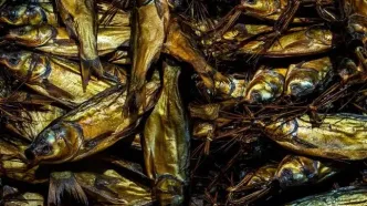 تصاویر؛ سنت دودی کردن ماهی در گیلان