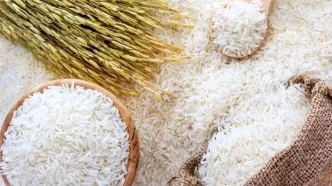 نرخ جدید انواع برنج در میادین میوه و تره‌بار تهران اعلام شد