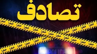 برخورد شدید پژو با اسب در کازرون!