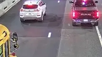 نجات یک سگ سرگردان از تونل شلوغ