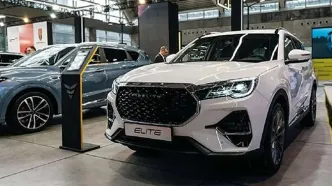 خرید فیدلیتی الیت از نمایندگی چقدر سود دارد؟