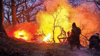 چقدر از جنگل الیت چالوس سوخته است؟