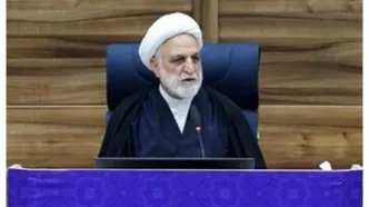 عجیب اما واقعی؛ برخی حق واردات خود را می فروشند/ ویدئو