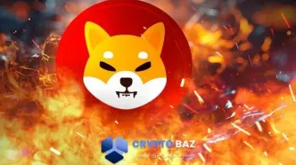 جهش بی‌سابقه در توکن‌سوزی شیبا؛ حمایت ۰.۰۰۰۰۰۸۵۳ زیر فشار