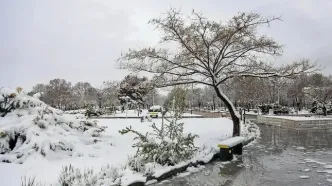 سرمای شبانه در ۵ مرکز استان ادامه دارد