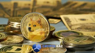 ریزش ۷۰ درصدی دوج‌کوین در آستانه راه‌اندازی ETF رسمی