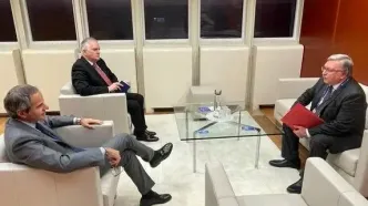 رایزنی اولیانوف با گروسی درباره ایران