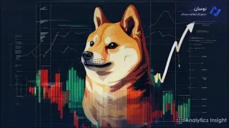 تحلیل قیمت شیبا اینو؛ فشار مقاومت و احتمال رالی جدید