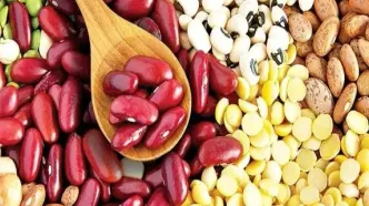کمبودی در زمینه تامین انواع حبوبات وجود ندارد