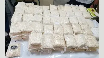 کشف بیش از ۲۰۰ هزار قرص روان گردان در شهرستان قدس؛ ۷ نفر دستگیر شدند