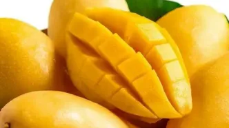 افشاگری: انبه‌های کنیا در راه بازار ایران! دولت اجازه داد!