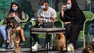 برگر مخصوص سگ ها از راه رسید + عکس منو