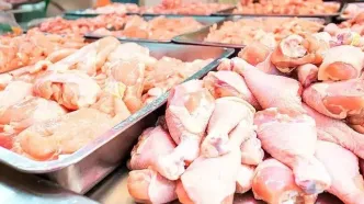 خبر خوب درباره تنظیم بازار مرغ اعلام شد