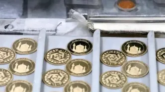 پیش‌فروش سکه؛ قیمت سکه دولتی چقدر است؟