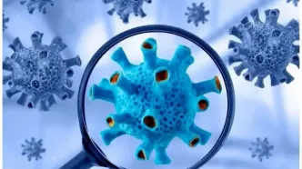 در مورد کرونای جدید بیشتر بدانید!