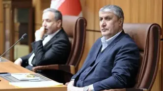 اسلامی: سازمان انرژی اتمی و وزارت امور خارجه ید واحده هستند