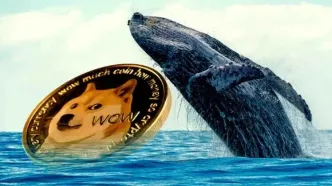همزمانی خروج نهنگ‌ها و شکست تکنیکال؛ سقوط DOGE تا ۰.۱ دلار؟