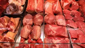 گوشت‌های وارداتی آلوده منشأ بیماری تب برفکی است؟