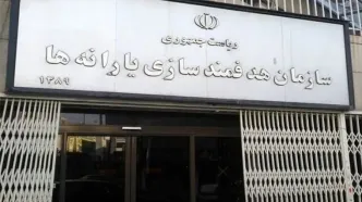 رئیس امور اطلاع‌رسانی دولت: دولت ابداً به اتباع خارجی یارانه نمی‌دهد