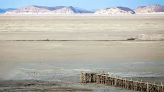 حرف‌های این فعال محیط‌زیست جنجال به پا کرد