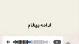 اولین پیام صوتی پژمان صوتی پس از رسیدن به کانادا؛ هیچ دفاعی از خود ندارم!  + فیلم