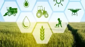 پرداخت بیش از ۱۵ هزار میلیارد ریال غرامت به کشاورزان خسارت‌دیده