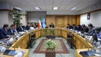 توضیحات فرزین درباره منابع بانک آینده