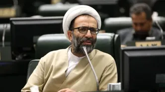 پیگیری خسارات مالی حوادث دی‌ماه و بازار جنت آباد از سوی مجلس/ دولت اگر آلزایمر دارد، درمانش کند