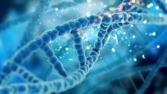 طول عمر ارثی است؟