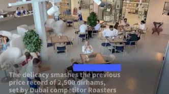 سرو گران‌ترین قهوه دنیا در دبی