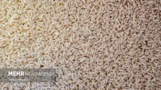برنج پاکستانی ۶۶ هزار تومانی؛ شوک قیمتی در بازار مواد غذایی