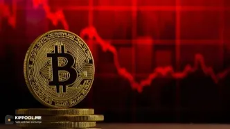 سقوط شدید آلت‌کوین‌ها؛ سه استراتژی طلایی برای سرمایه‌گذاری نوامبر