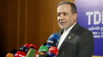 سخنان عراقچی در حاشیه اجلاس منع سلاحهای شیمیایی در لاهه