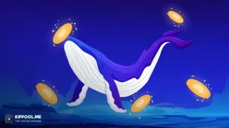 آنچه نهنگ‌ها در طول سقوط قیمت خریدند: بهترین آلت‌کوین‌های سه‌ماهه چهارم