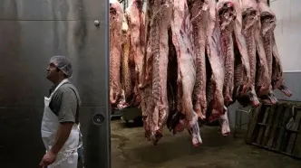 شوک به بازار گوشت قرمز