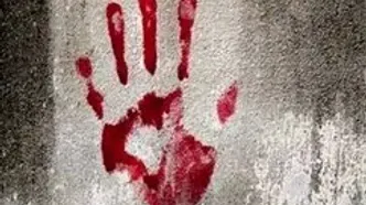 چگونه خشونت، زبان مشترک شبکه نمایش خانگی شد؟