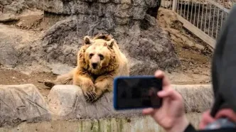 باغ وحش ارم در این روز رایگان شد