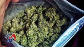 بلایی که گل و حشیش بر سر انسان می‌آورد!