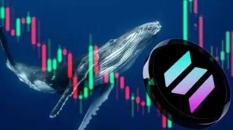 انباشت نهنگ‌ها در نزول SOL؛ فرصت خرید یا هشدار سقوط تا ۱۳۰ دلار؟