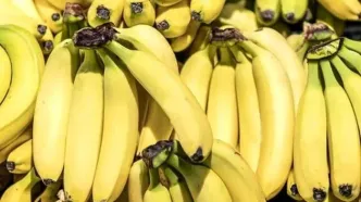 گمرک توقف واردات موز را تکذیب کرد