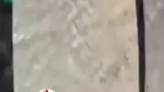 ماجرای چاقوکشی در اتوبوس/ راننده متخلف اخراج شد