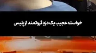 خواسته عجیب یک دزدِ ثروتمند از پلیس