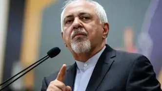 ظریف هنگام خواندن شعر حافظ گاف داد